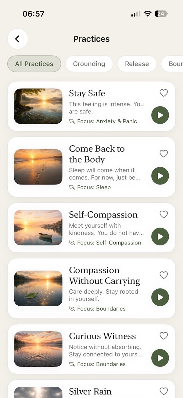 Aira app — what do you need right now?